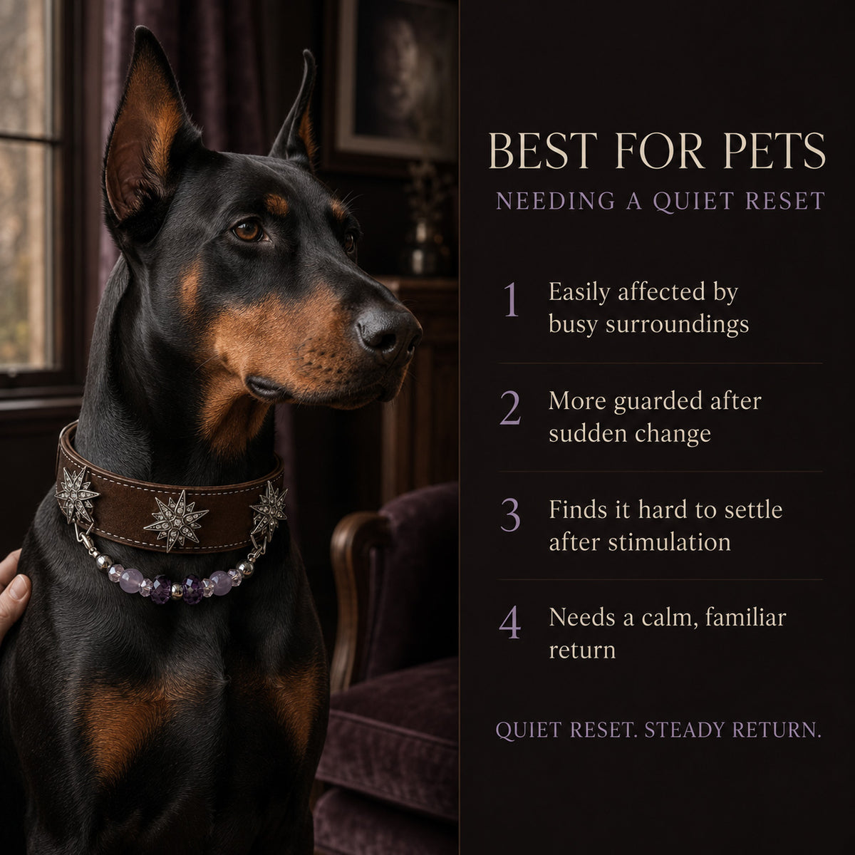 Violet Constellation Purple Agate Interchangeable Crystal Pet Jewelry Collar — KINRIOT crystal pet jewelry for size-compatible cats and dogs, gallery view 4.