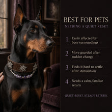 Violet Constellation Purple Agate Interchangeable Crystal Pet Jewelry Collar — KINRIOT crystal pet jewelry for size-compatible cats and dogs, gallery view 4.
