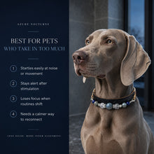 Azure Nocturne Kyanite & Lapis Lazuli Pet Jewelry Collar — KINRIOT crystal pet jewelry for size-compatible cats and dogs, gallery view 4.