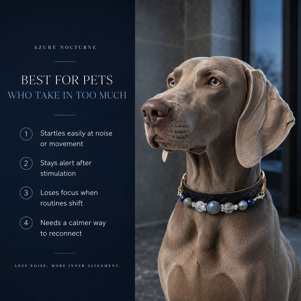 Azure Nocturne Kyanite & Lapis Lazuli Pet Jewelry Collar — KINRIOT crystal pet jewelry for size-compatible cats and dogs, gallery view 4.