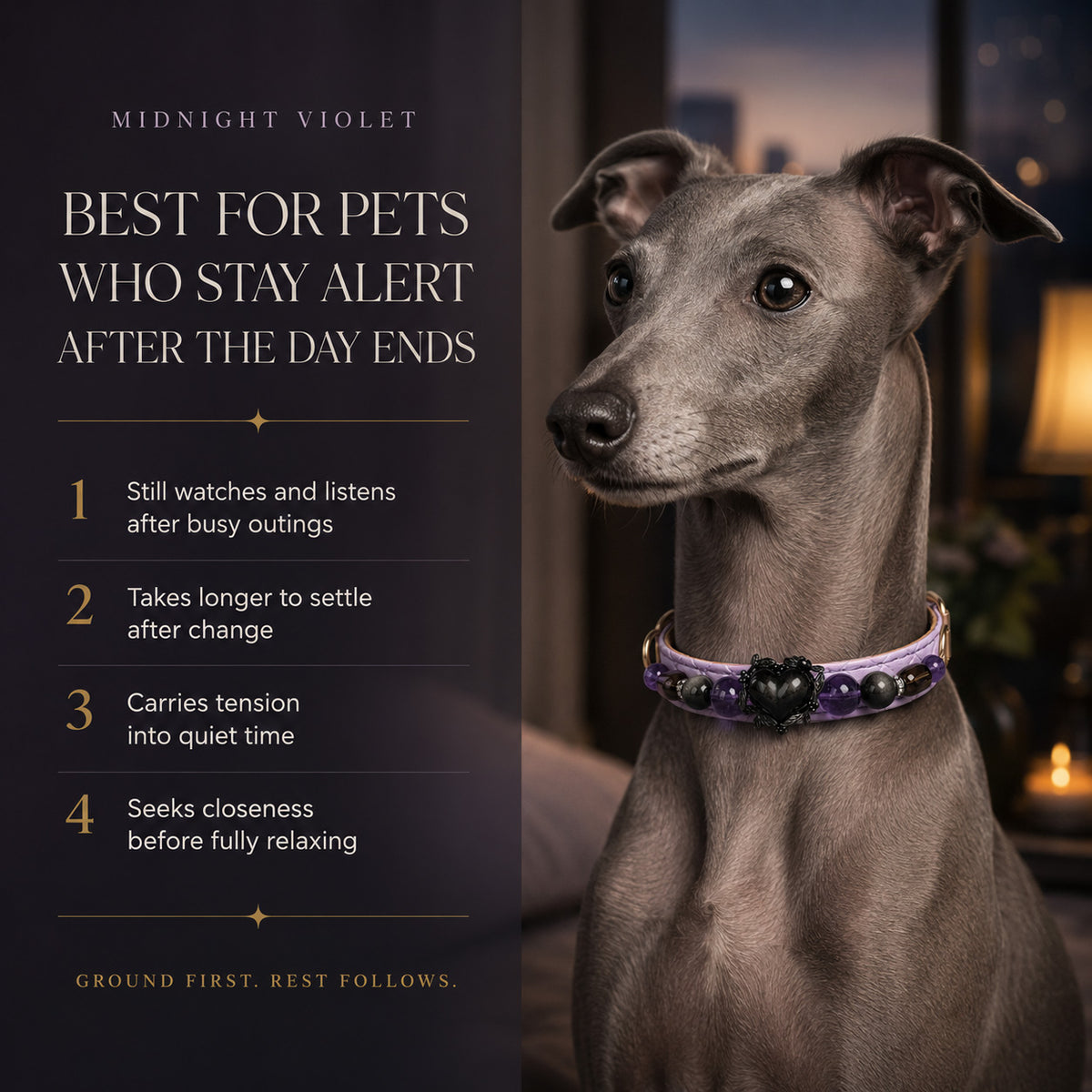 Midnight Violet Amethyst, Obsidian & Smoky Quartz Pet Jewelry Collar — KINRIOT crystal pet jewelry for size-compatible cats and dogs, gallery view 4.