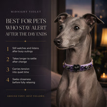 Midnight Violet Amethyst, Obsidian & Smoky Quartz Pet Jewelry Collar — KINRIOT crystal pet jewelry for size-compatible cats and dogs, gallery view 4.