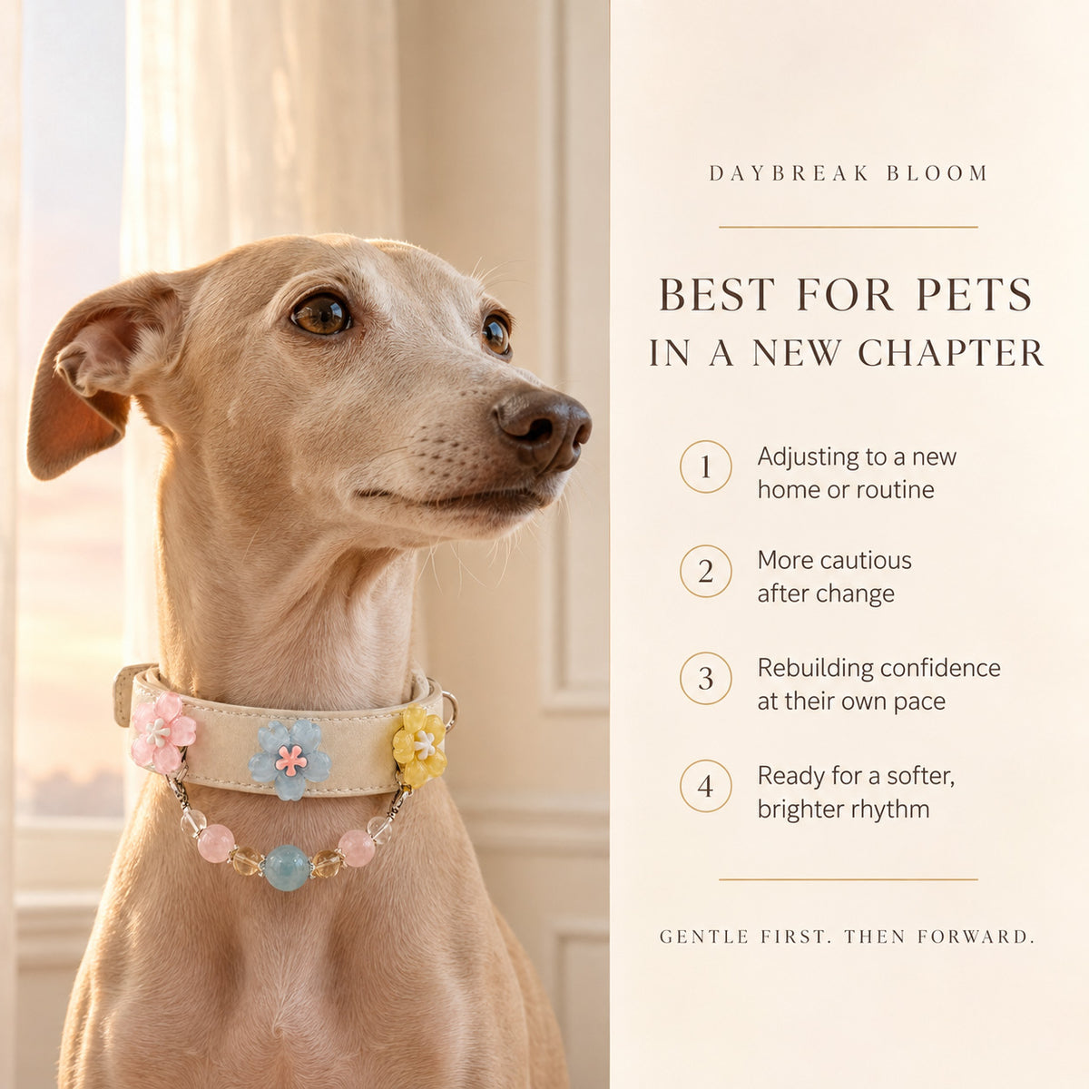 Daybreak Chorus Aquamarine Interchangeable Crystal Pet Jewelry Collar — KINRIOT crystal pet jewelry for size-compatible cats and dogs, gallery view 4.