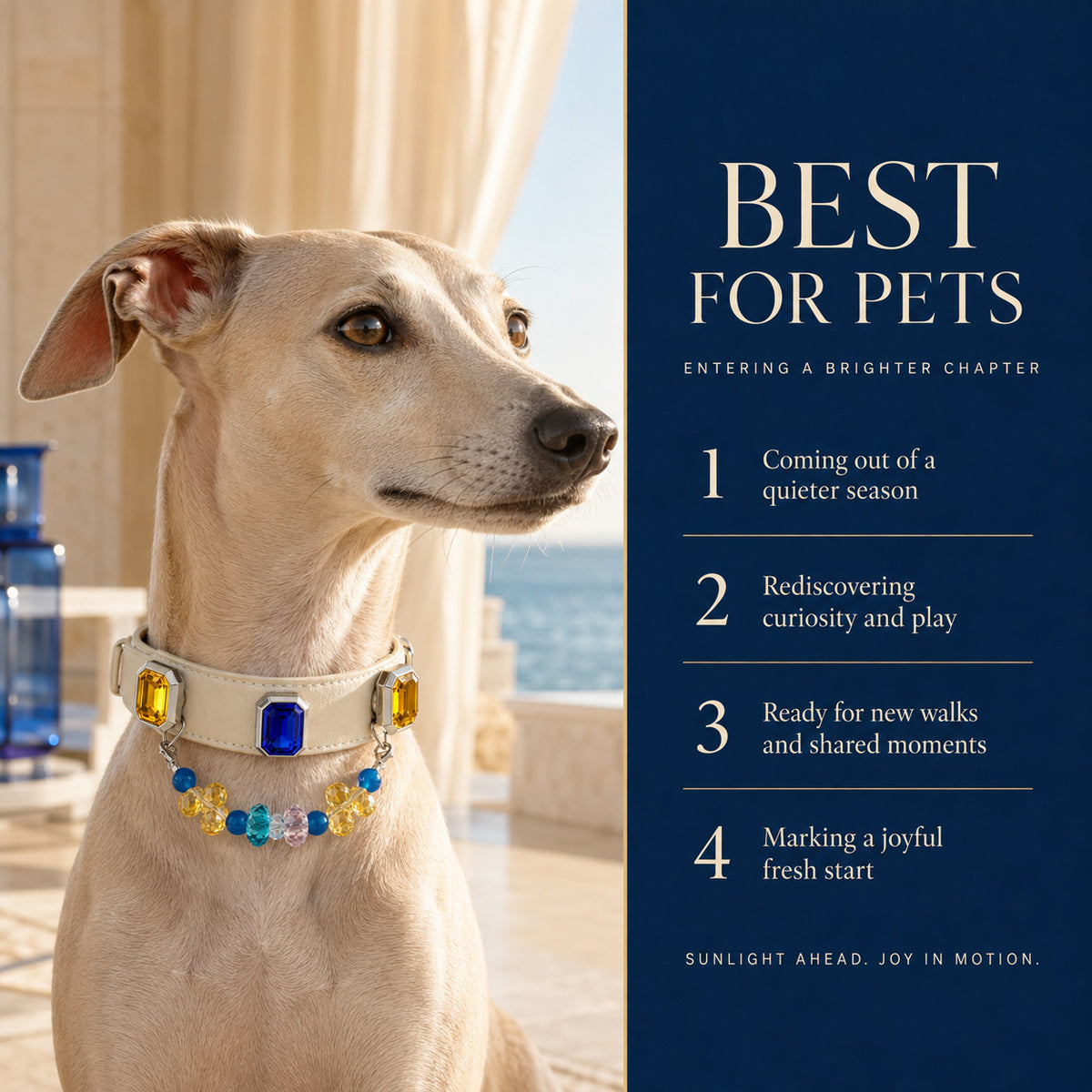 Riviera Prism Blue Agate & Sapphire Interchangeable Crystal Pet Jewelry Collar — KINRIOT crystal pet jewelry for size-compatible cats and dogs, gallery view 4.