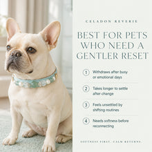 Celadon Reverie Green Fluorite & Pearl Pet Jewelry Collar — KINRIOT crystal pet jewelry for size-compatible cats and dogs, gallery view 4.
