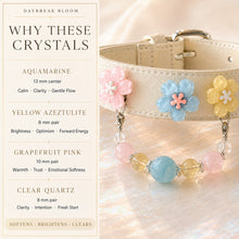 Daybreak Chorus Aquamarine Interchangeable Crystal Pet Jewelry Collar — KINRIOT crystal pet jewelry for size-compatible cats and dogs, gallery view 5.