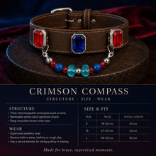 Velvet Voltage Blue Sapphire, Agate & Ruby Interchangeable Crystal Pet Jewelry Collar — KINRIOT crystal pet jewelry for size-compatible cats and dogs, gallery view 8.