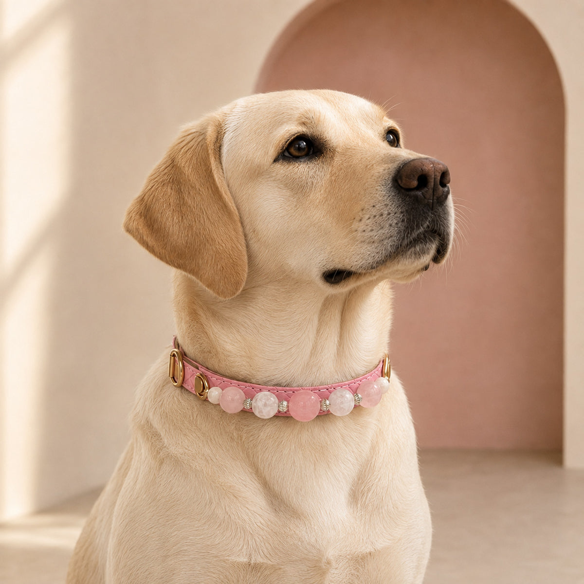 Blush Reverie Rose Quartz & Phantom Quartz Pet Jewelry Collar — KINRIOT crystal pet jewelry for size-compatible cats and dogs, gallery view 2.