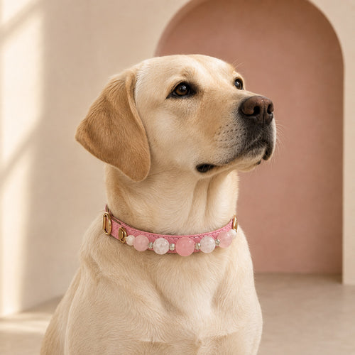 Blush Reverie Rose Quartz & Phantom Quartz Pet Jewelry Collar — KINRIOT crystal pet jewelry for size-compatible cats and dogs, gallery view 2.
