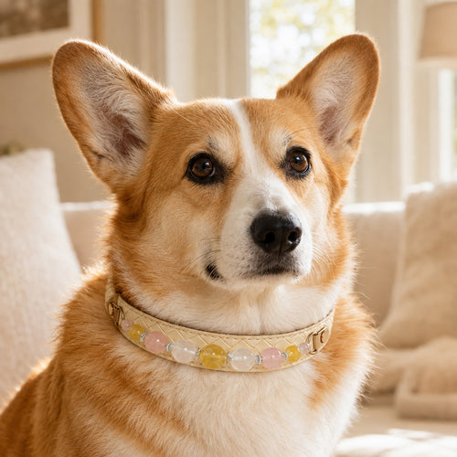 Aurelia Blush Yellow Fluorite & Rose Quartz Pet Jewelry Collar — KINRIOT crystal pet jewelry for size-compatible cats and dogs, gallery view 2.