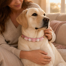 Blush Reverie Rose Quartz & Phantom Quartz Pet Jewelry Collar — KINRIOT crystal pet jewelry for size-compatible cats and dogs, gallery view 9.