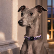 Midnight Violet Amethyst, Obsidian & Smoky Quartz Pet Jewelry Collar — KINRIOT crystal pet jewelry for size-compatible cats and dogs, gallery view 2.