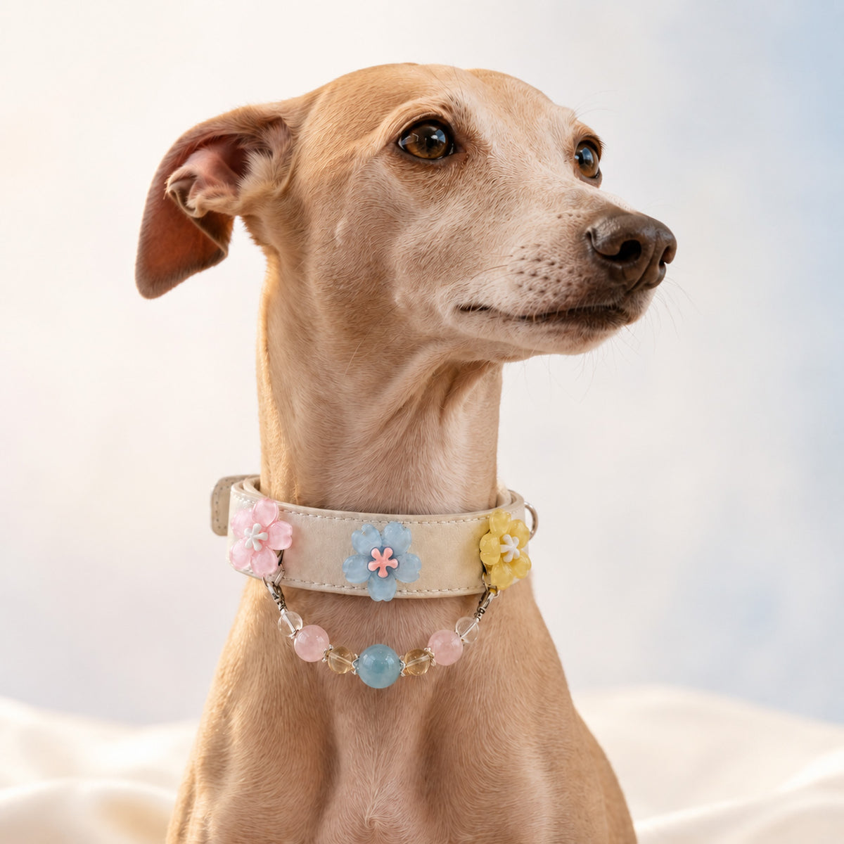 Daybreak Chorus Aquamarine Interchangeable Crystal Pet Jewelry Collar — KINRIOT crystal pet jewelry for size-compatible cats and dogs, gallery view 2.