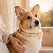 Aurelia Blush Yellow Fluorite & Rose Quartz Pet Jewelry Collar — KINRIOT crystal pet jewelry for size-compatible cats and dogs, gallery view 9.