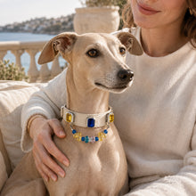Riviera Prism Blue Agate & Sapphire Interchangeable Crystal Pet Jewelry Collar — KINRIOT crystal pet jewelry for size-compatible cats and dogs, gallery view 9.