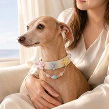 Daybreak Chorus Aquamarine Interchangeable Crystal Pet Jewelry Collar — KINRIOT crystal pet jewelry for size-compatible cats and dogs, gallery view 9.