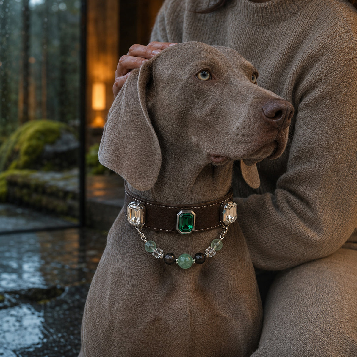 Verdant Grove Green Fluorite & Obsidian Interchangeable Crystal Pet Jewelry Collar — KINRIOT crystal pet jewelry for size-compatible cats and dogs, gallery view 9.