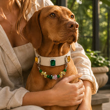 Emerald Solstice Green Agate & Sapphire Interchangeable Crystal Pet Jewelry Collar — KINRIOT crystal pet jewelry for size-compatible cats and dogs, gallery view 9.